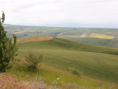 View from partway up