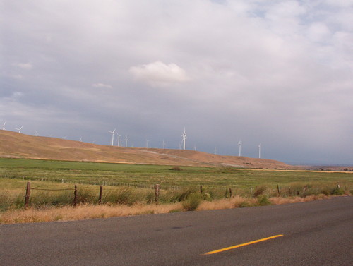 Windfarm just west of Condon