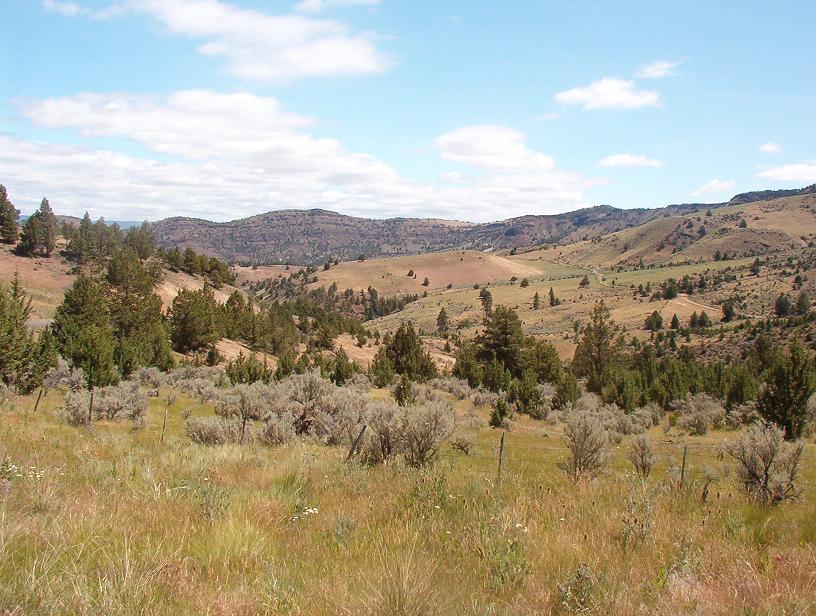 Landscape North of Mitchell