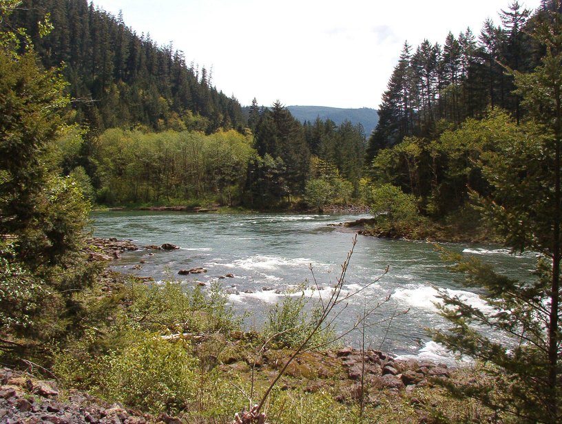 Clackamas River bend