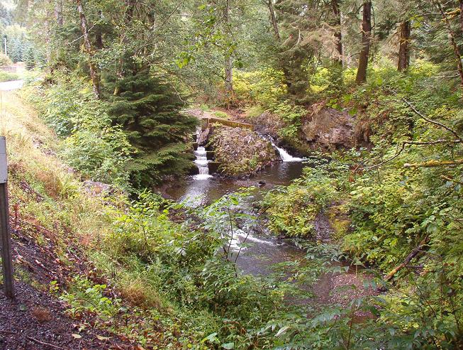 Barth Falls, along Oregon Route 202
