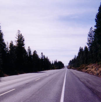 US97 up near Satus Pass, much high-altitude greenery