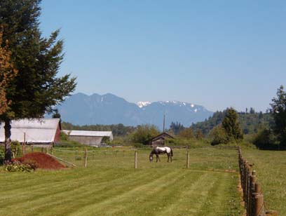 View of the Cascades from Ben Howard Rd