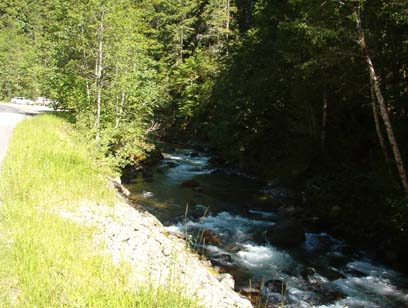 Rapids-Filled Skate Creek