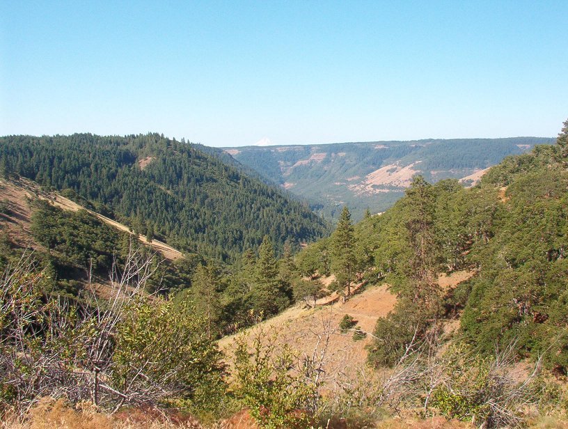 View down the Klickitat River Canyon