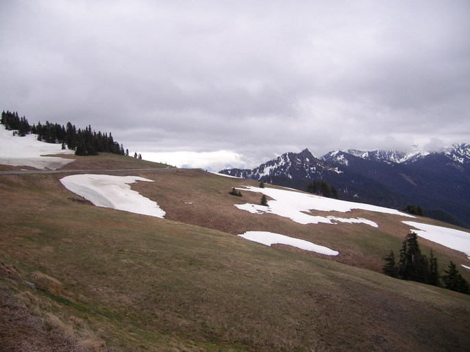 View back along Heart O' the Hills Road