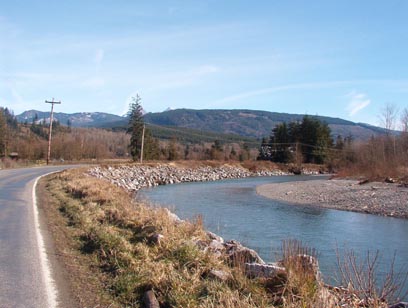 Alongside the Nooksack River at the South end of Mosquito Lake Road