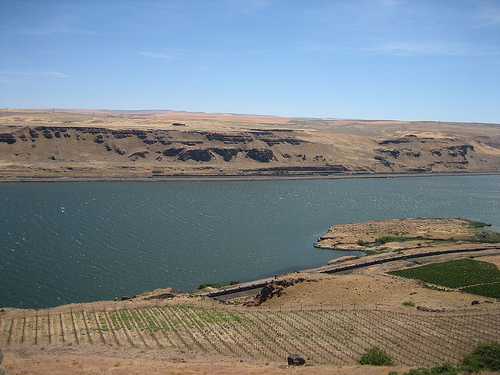 View from Near Old Highway 8