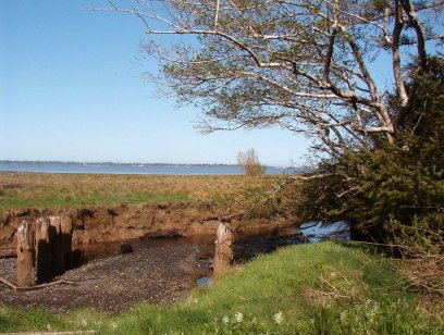 A little creek draining into the bay.