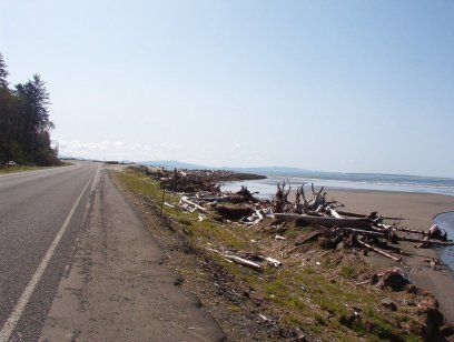 Highway 105 running along the beach, piled high with entire driftwood trees