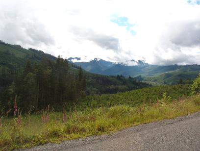 Rainier hidden by the cloud, grass and hills in the foreground