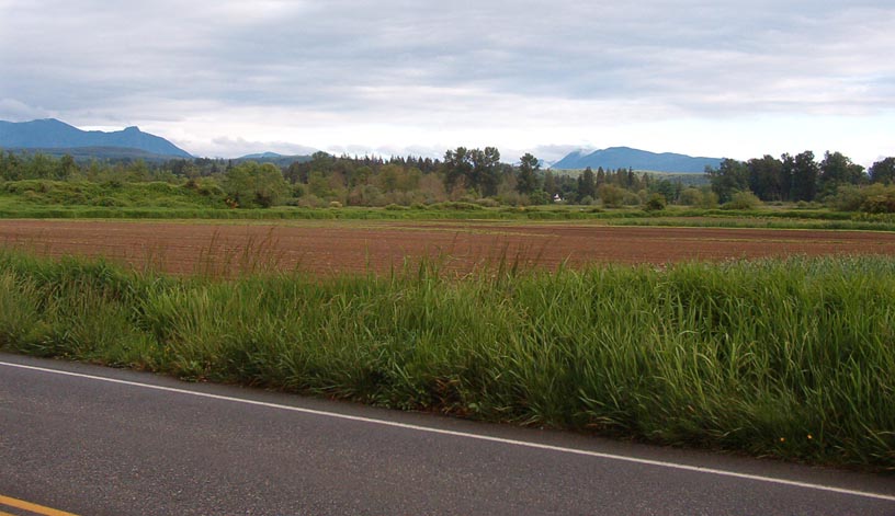 View SE towards Snoqualmie Pass and the Cascades